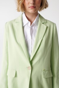 EINFARBIGER BLAZER